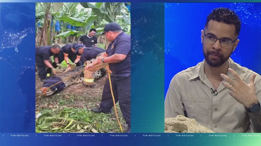 El biólogo John Cleghorn.