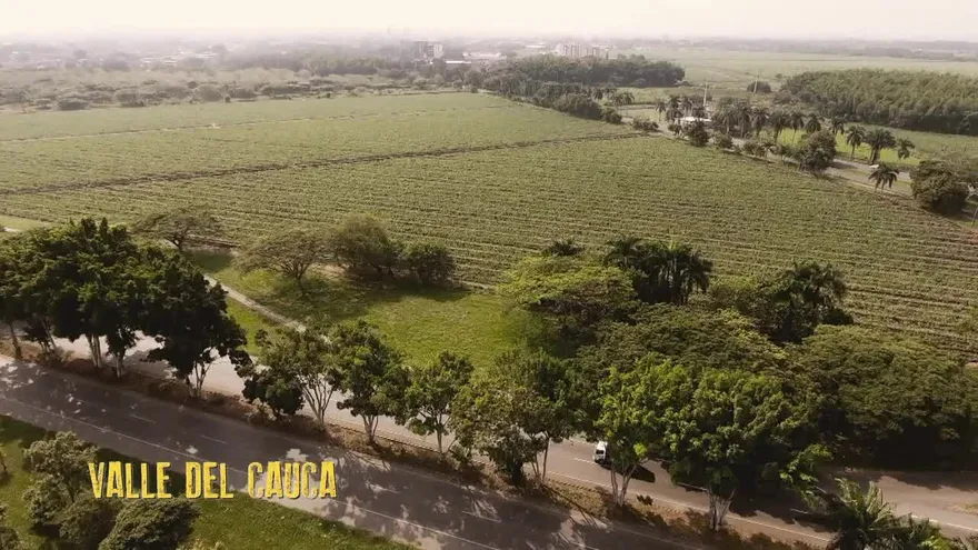 Sobreviviendo a Escobar, Alias JJ - Capítulo 25