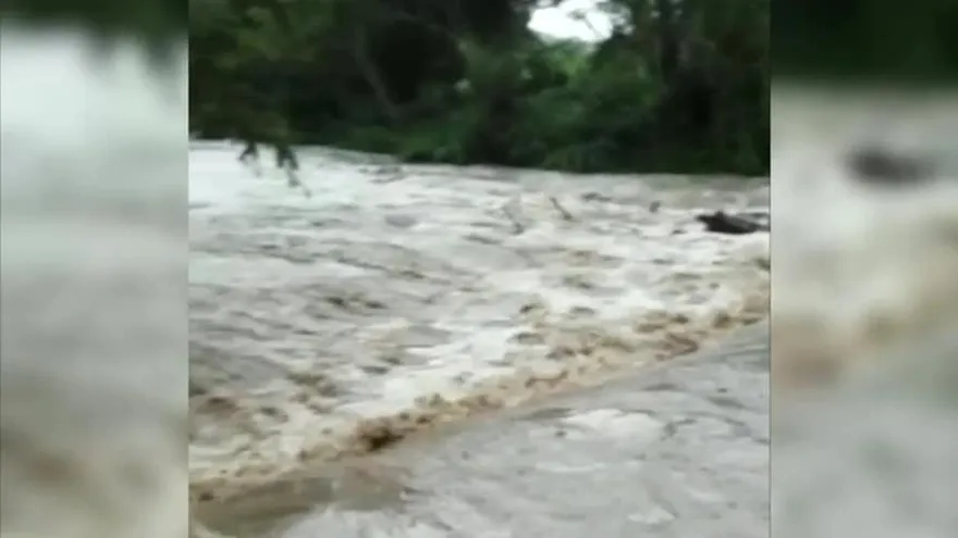Caída de árboles y crecida de río en Los Santos