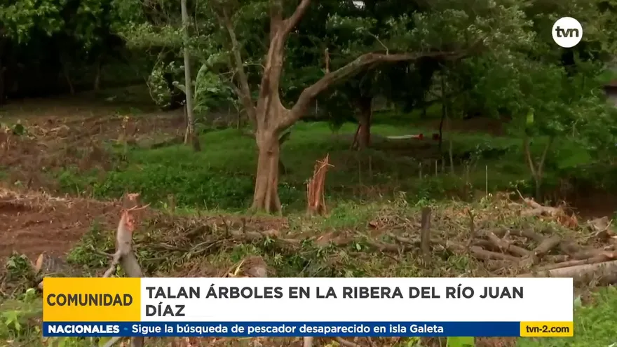 Residentes lamentan una tala de árboles en Juan Díaz