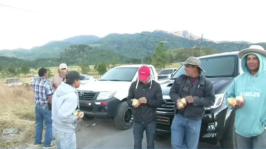 Productores agrícolas de Chiriquí, satisfechos