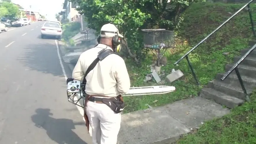 Desarrollan aplicación móvil para combatir el Aedes Aegypti