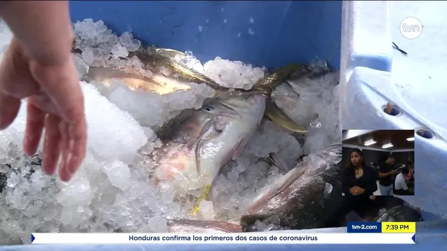 Decomisan más de 15 mil libras de pescado
