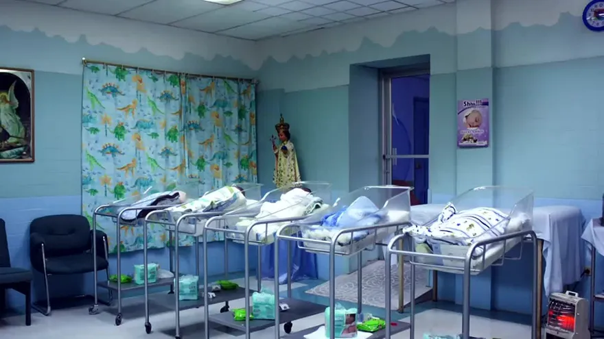 La historia de los hermanitos que nacieron guerreros