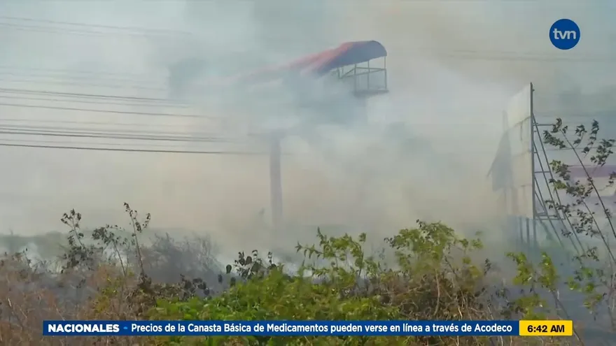 No cesan los incendios de herbazales durante el verano