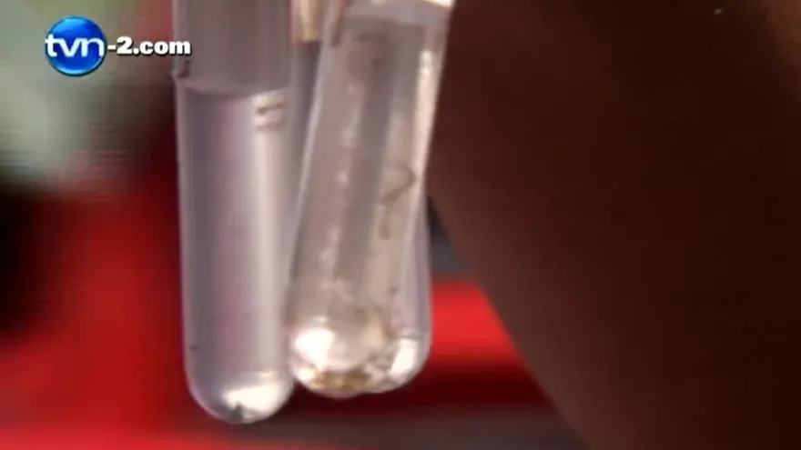 1,075 casos de dengue y 12 de chikungunya en Panamá