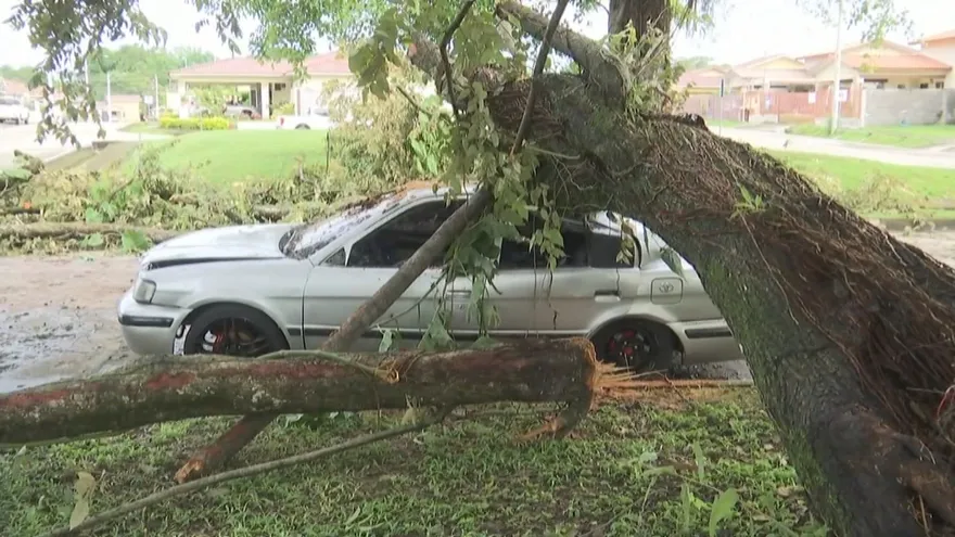 Lluvias y fuertes vientos afectan residencias y autos en Chiriquí