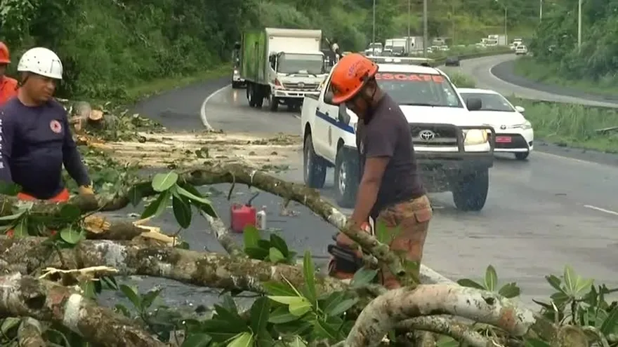Se reportaron caídas de árboles en Vía Centenario