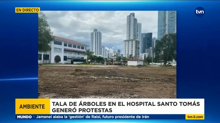 Protestan por tala de árboles de jardín del antiguo Santo Tomás