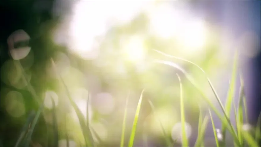 Jesus Luz de Oportunidades