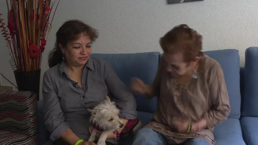 ¿Estamos vivas aún preguntan supervivientes de sismo en México