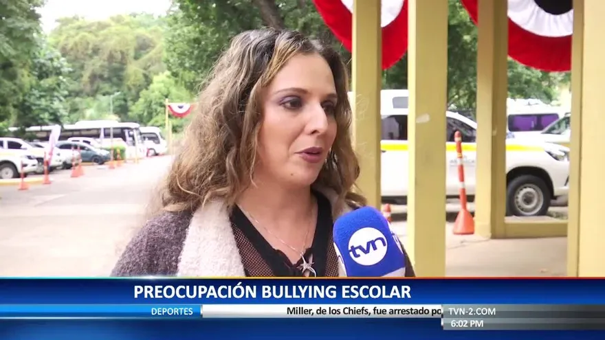 Atención al bullying escolar