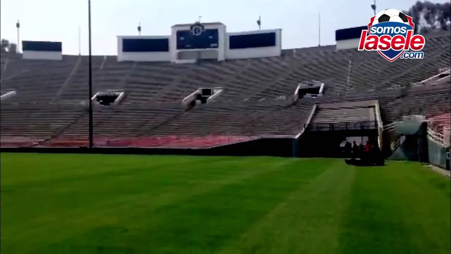 Exclusivo, desde el césped del Rose Bowl