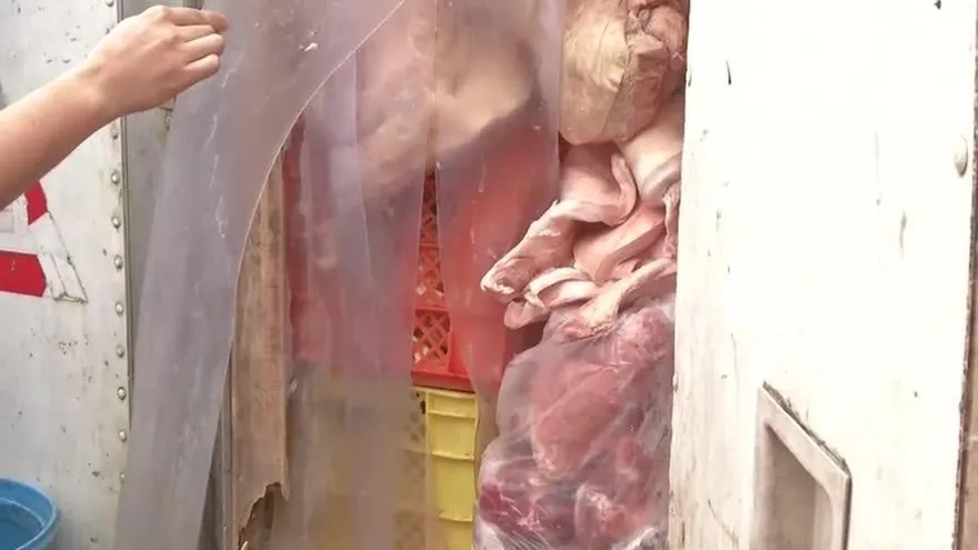 Decomisan toneladas de carne dañada dentro de una residencia