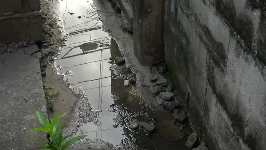 Ocho casos de zika sospechosos en Río Abajo