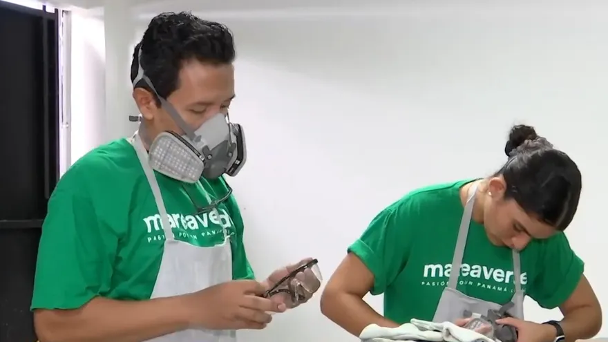 Marea Verde lanza el laboratorio creativo