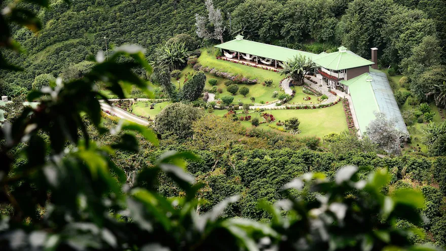 Hoteles y fincas de café de Panamá se capacitan en mercadotecnia digital.