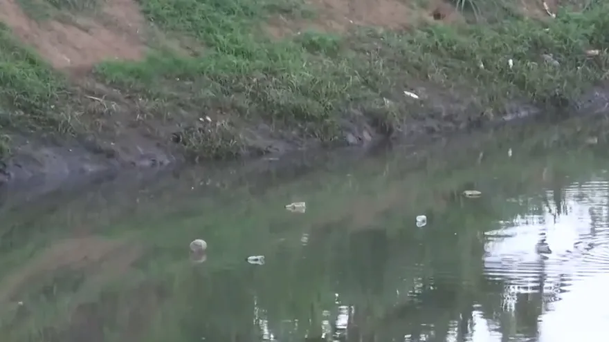 ¿Cuál es la diferencia entre cuenca y río?