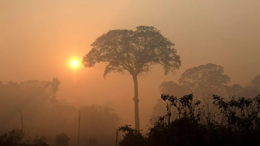 El humo de los incendios aún sin controlar la selva amazónica cubren el cielo durante el amanecer el jueves pasado, cerca de Porto Velho (Brasil)