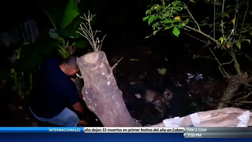 Preocupación ante la pérdida de los ecosistemas de los felinos