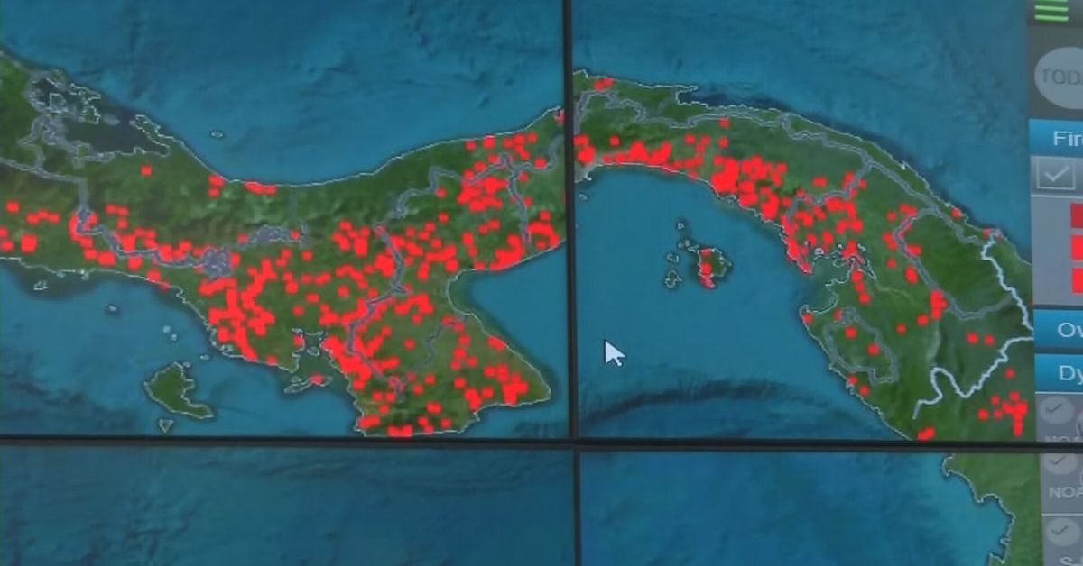 Bomberos alertan sobre  aumento de incendios por quemas ilegales