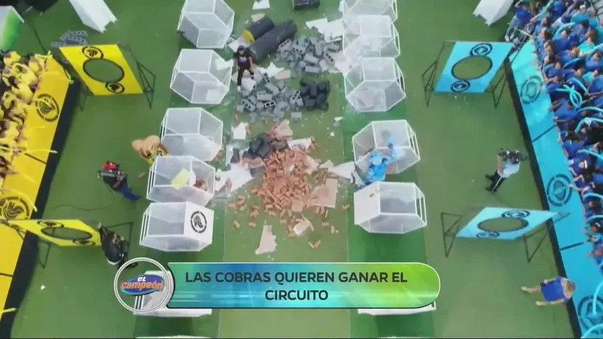 ¡Los leones se llevaron el primer circuito de Excavadores y ganaron un nuevo guerrero!