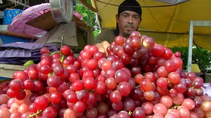 Panamelos madrugan para vender sus productos navideños