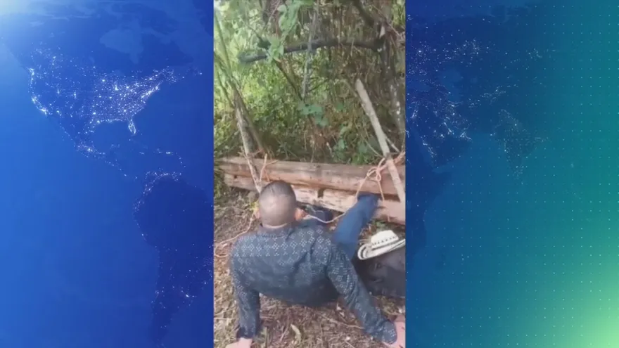 Al cepo: fue llevado el cacique de la región nedrini de la comarca ngable bugle