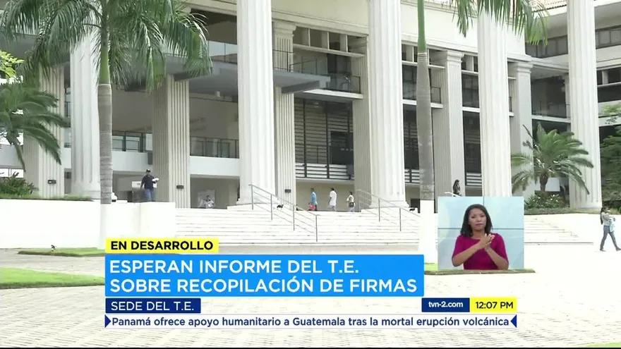 Solicitan al TE informe actualizado sobre independientes que aspiran a candidatura presidencial