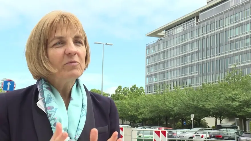 Génesis del coronavirus es crucial para entender cómo proliferó, según la OMS