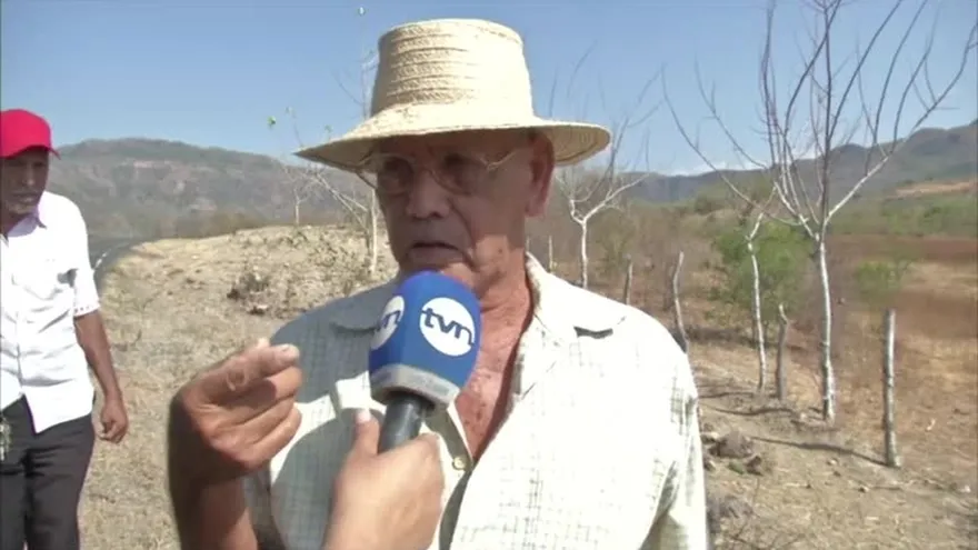 Sequía causa pérdidas a productores y ganaderos de Coclé