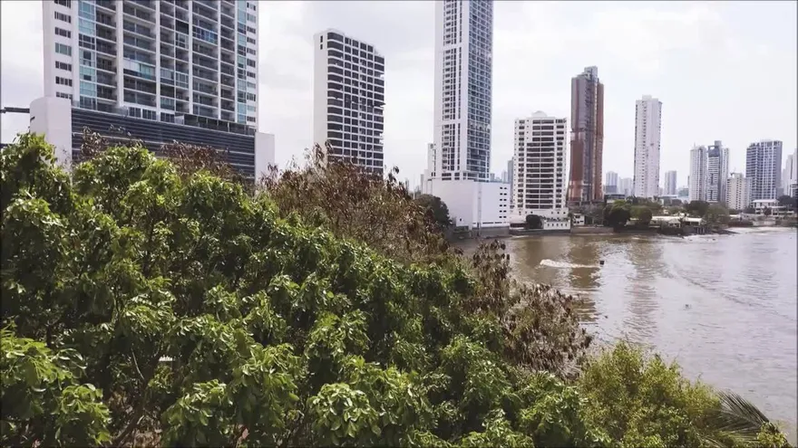 Concurso de Oratorias del Club de Leones