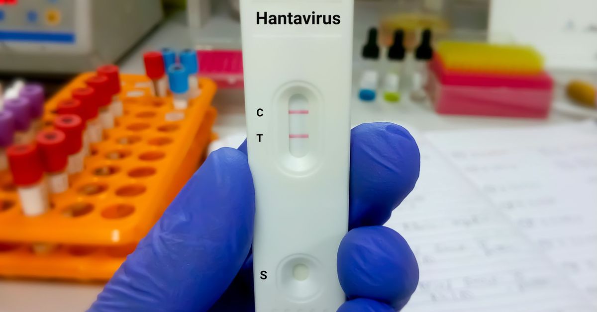 Científicos buscan hantavirus ante turistas indiferentes en Ushuaia de Argentina