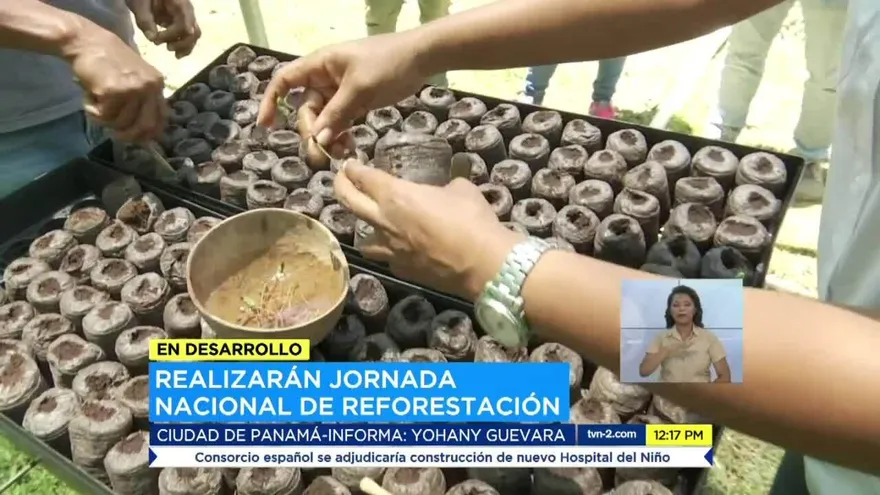 Preparan el Día Nacional de Reforestación