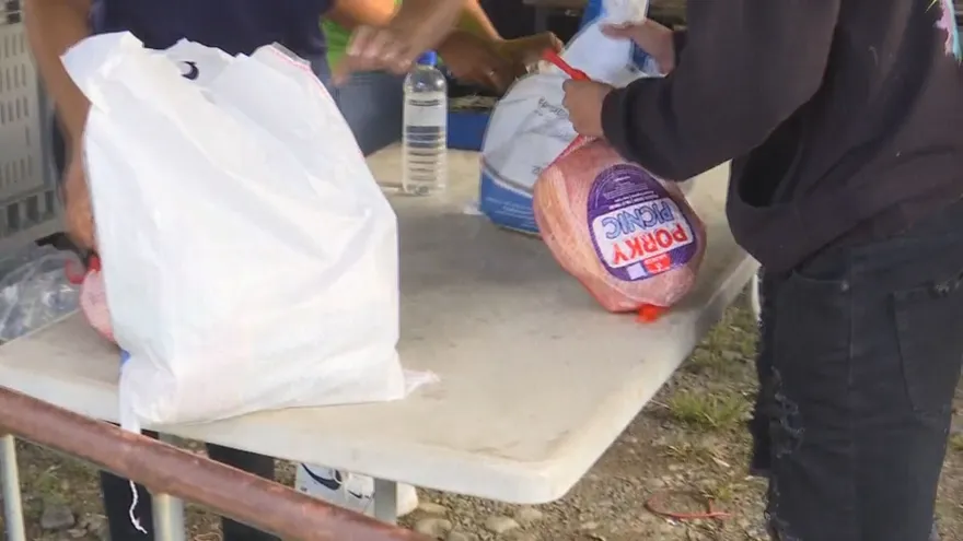 Naviferias llegan a islas