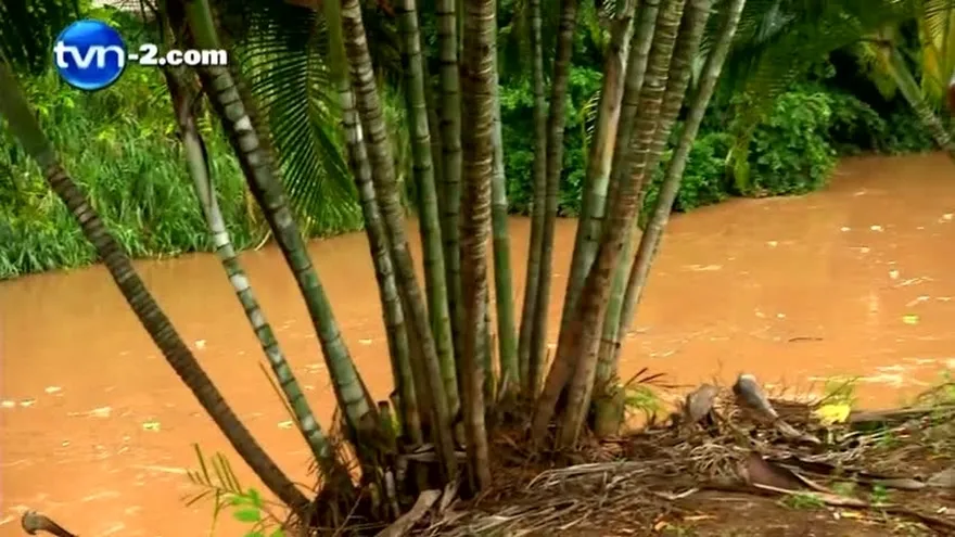 Denuncian peces muertos en Juan Díaz