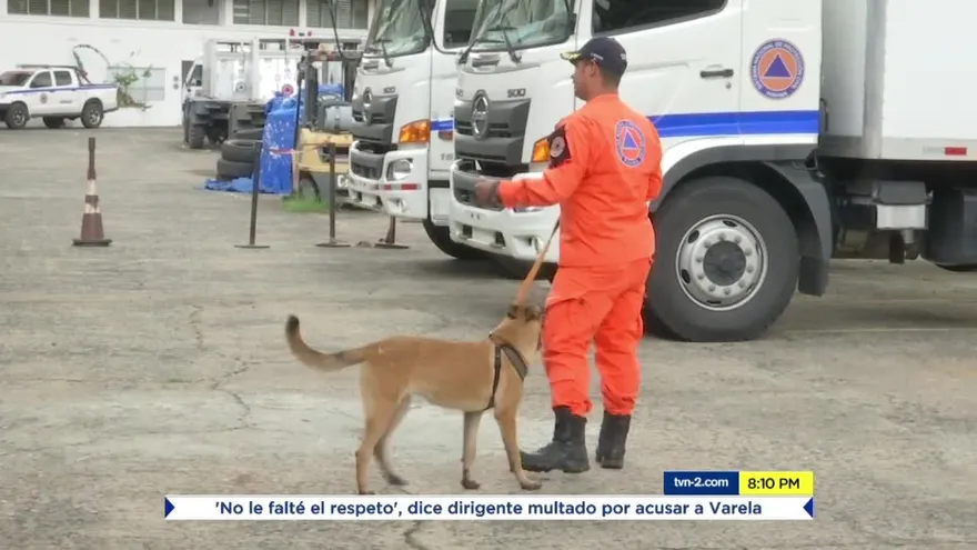 Seis nuevos perros para unidad canina