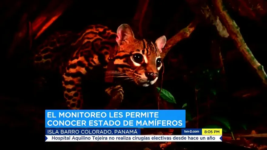 Barro Colorado, ciencia y biodiversidad