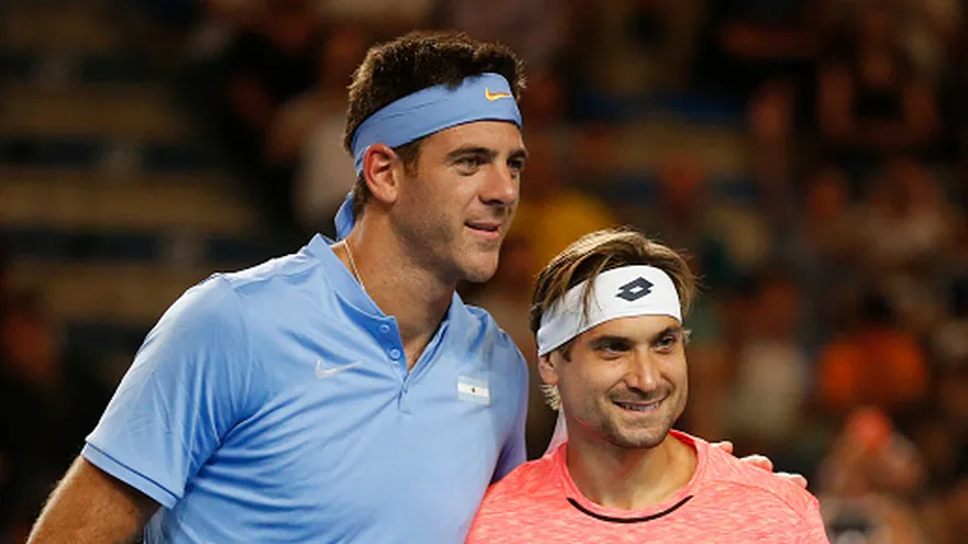 Del Potro y David Ferrer
