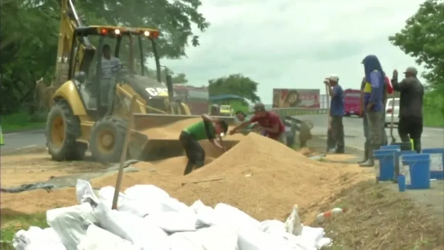 Mula que transportaba arroz se vuelca en Antón