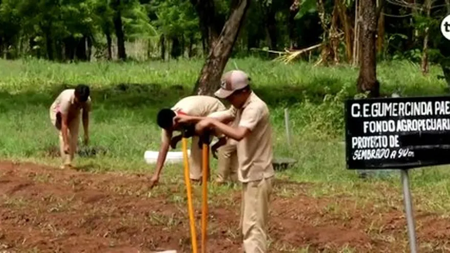 Agricultura vertical en los colegios
