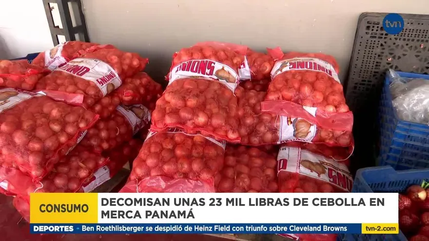 Decomisan 500 sacos de cebolla importada