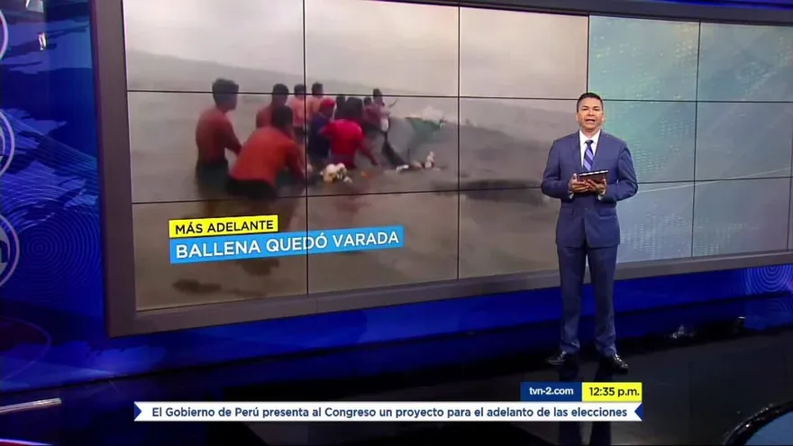 Noticiero MD 1 de agosto del 2019 - Bloque 2