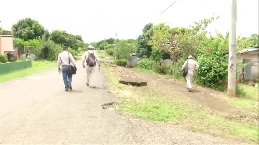 Minsa preocupada por aumento en casos de Dengue