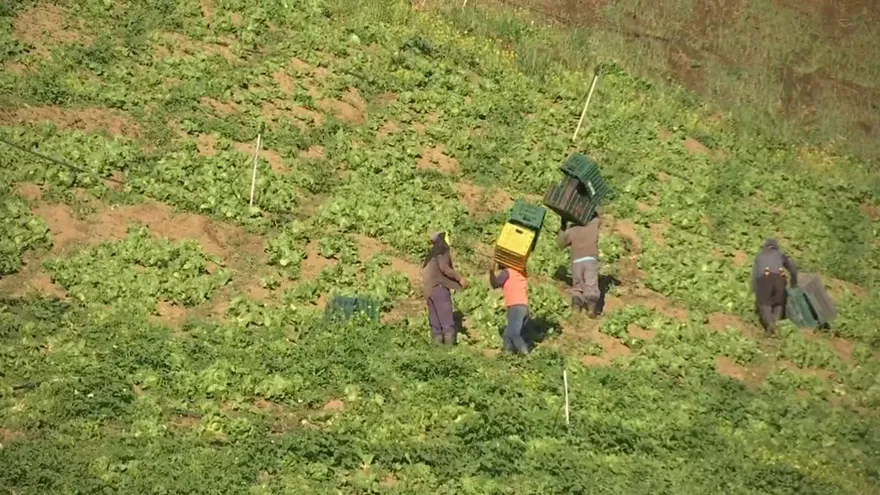 Productores de Tierras Altas advierten sobre posible alza de precios