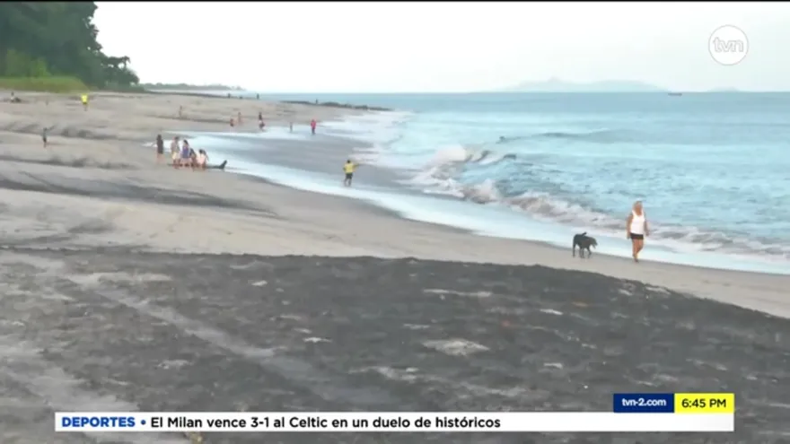 Tips para visitar las playas de forma segura