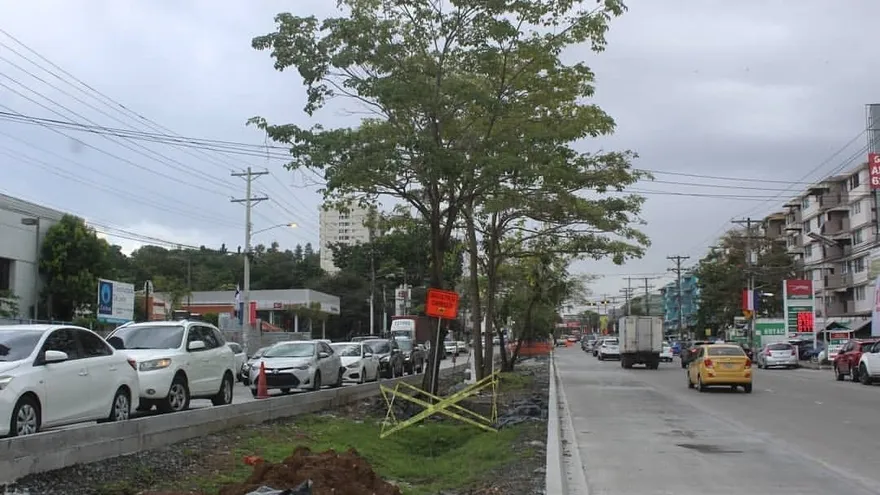 Trabajos de ampliación de vía Ricardo J. Alfaro