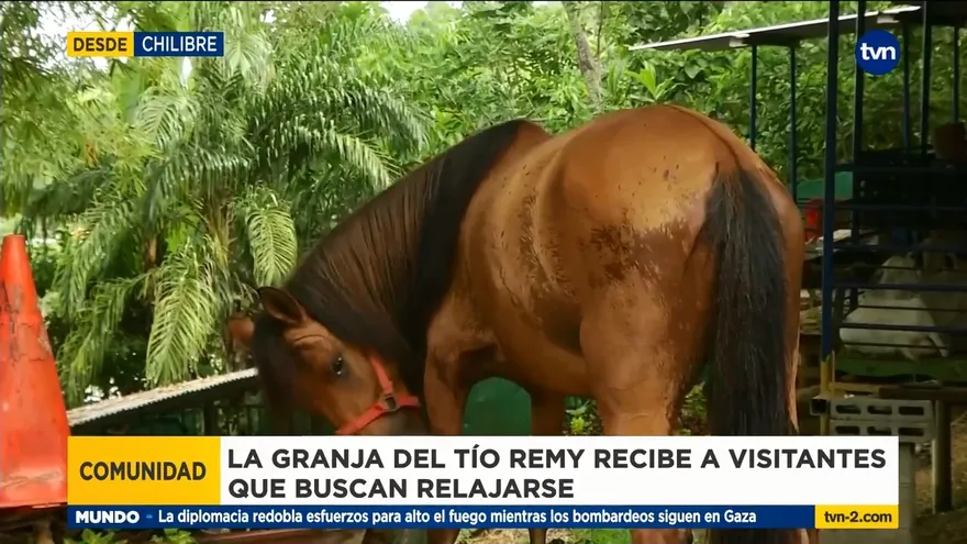 La granja del Tío Remy, una granja que alegra a los niños