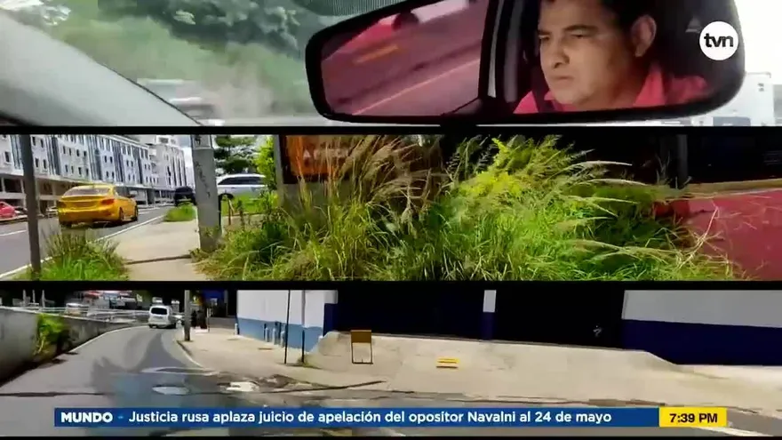 Maleza: Peligro en la vía