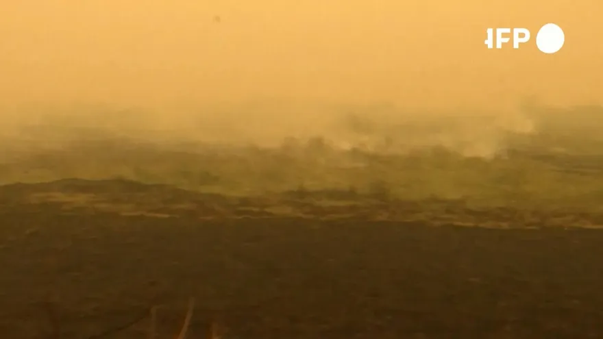 ¿Cómo prevenir nuevos desastres en el Pantanal?